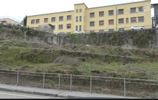 Avellino, Fenestrelle disboscato ''senza autorizzazione'' /VIDEO