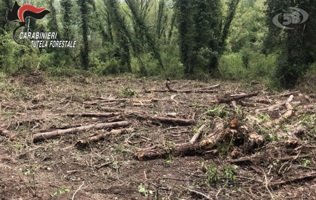 Esegue opere in area protetta in assenza di autorizzazione: 70enne denunciato dai carabinieri forestali