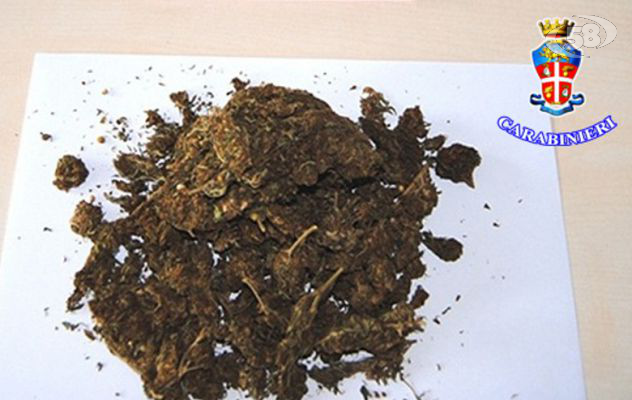 200 dosi di marijuana per la festa di halloween: in manette coppia di fidanzati