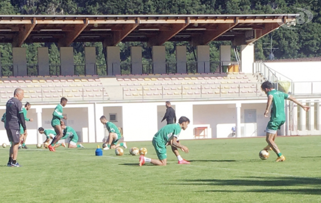 Avellino-Padova, clima incandescente. La parola al campo, finalmente