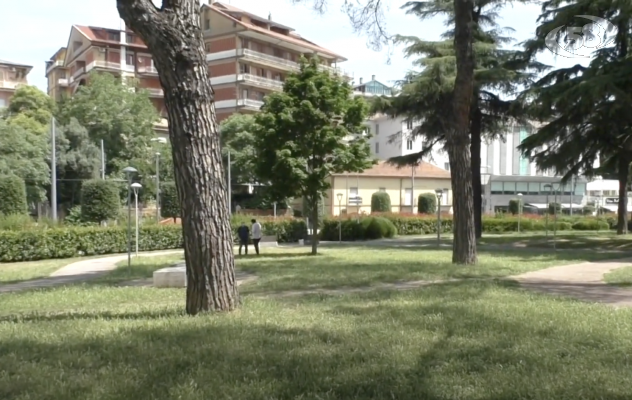 Alberi Piazza Kennedy, per Legambiente possono essere curati