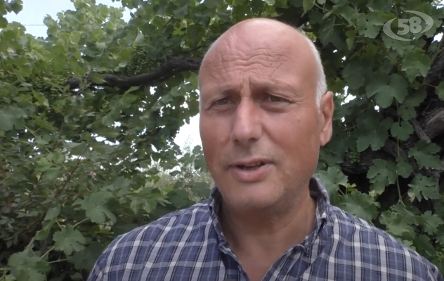 Per l’Irpinia la sfida adesso è l’agricoltura 4.0. Parla il presidente della Cia di Avellino