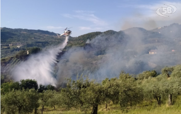 Vasto incendio minaccia case e ristoranti, in supporto anche i canadair