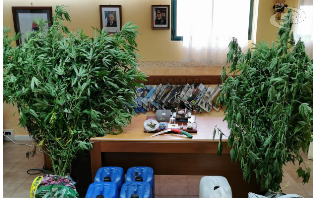 Operaio di giorno, spacciatore di notte: arrestato 53enne. Nei guai anche la compagna