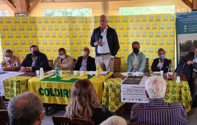 Psr giovani, in arrivo 30milioni di euro per l'agricoltura: pubblicata la graduatoria