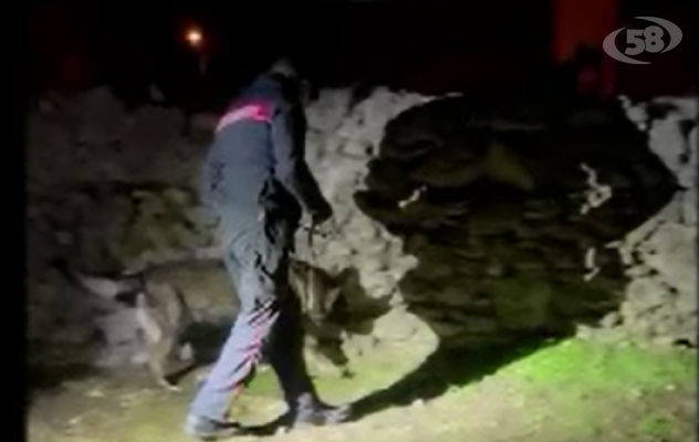Blitz anti droga, arrestate 11 persone /VIDEO