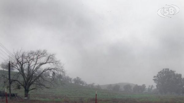 Allerta meteo, saranno chiusi i parchi, la villa e il cimitero: firmata l'ordinanza