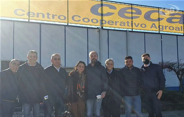  Centro Cooperativo Agroalimentare, Masiello è il nuovo presidente