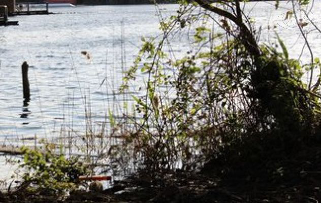 Va a pescare in un lago, 38enne ritrovato senza vita. Tanti i messaggi di cordoglio