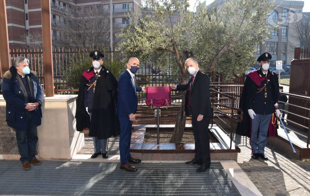 Un albero d'ulivo e una targa in memoria di Palatucci, cerimonia in Questura