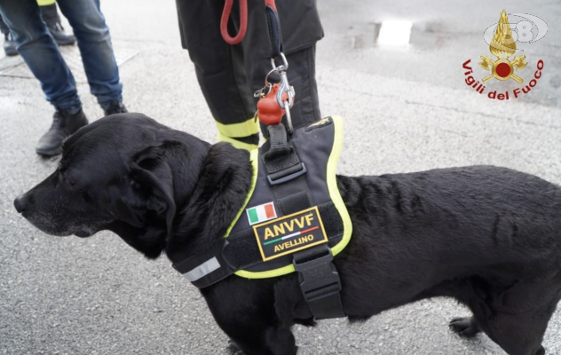 Sasha, il cane pompiere va in ''pensione'' dopo 11 anni di onorato servizio