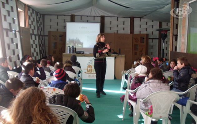 Ex Olivis, a lavoro la Commissione Assaggio per assegnare il prestigioso Premio "Tricolle"