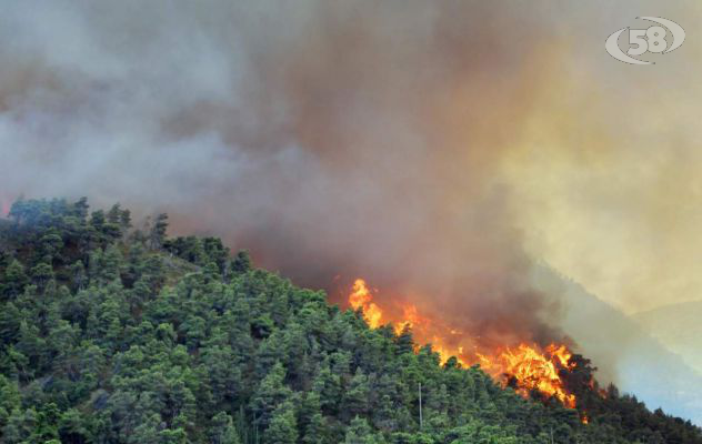 Protezione civile, al via i corsi provinciali per Operatori Antincendio Boschivo