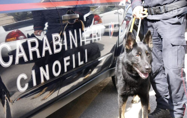 Ariano, blitz anti spaccio nei pressi delle scuole