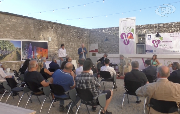 Un percorso per i vini d'Irpinia: sei comuni per un itinerario gastronomico e culturale