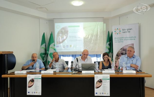 Cereali e agricoltura di precisione, nasce il progetto per recuperare i grani storici