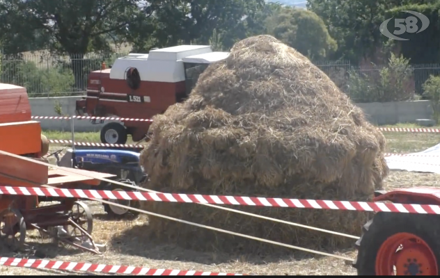 Al “Molino Scoppettuolo” la festa della trebbiatura: tradizione e qualità /VIDEO