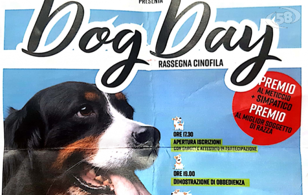 Dog Day a Flumeri, il 26 agosto la rassegna cinofila