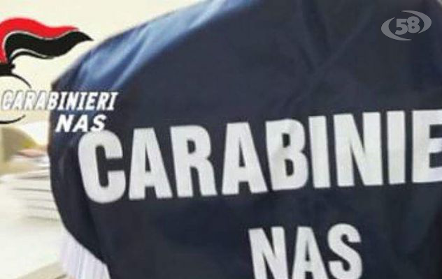 Carenze igienico sanitarie, blitz dei Nas: sequestri di alimenti e maxi sanzioni