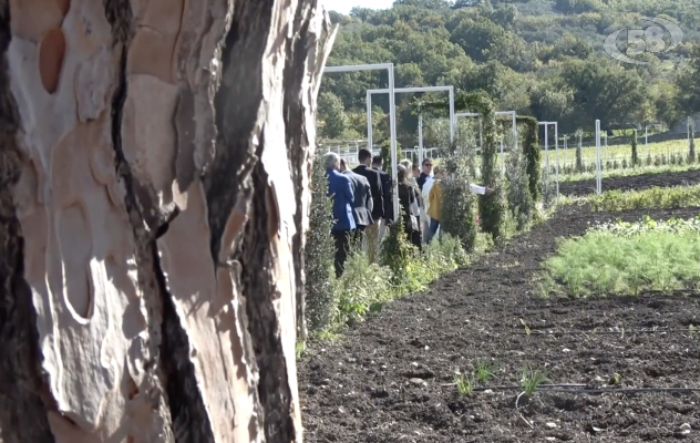 Daunia valle della felicità. Lo chef-contadino Peppe Zullo: ''A Orsara si vive di più'' /VIDEO