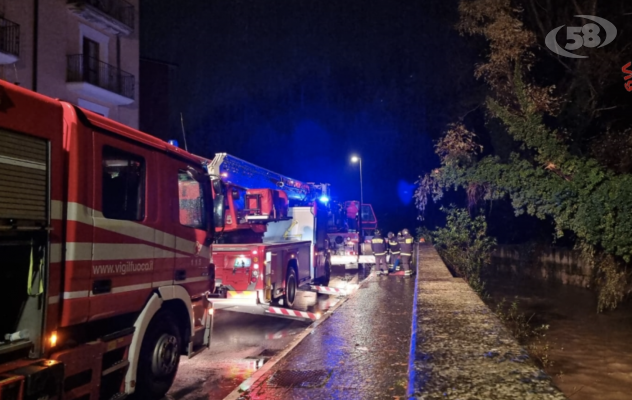 Maltempo sull'Irpinia, alberi caduti e infiltrazioni d'acqua