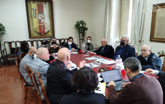 Pericolo cinghiali in centro, le misure decise nel vertice in Comune