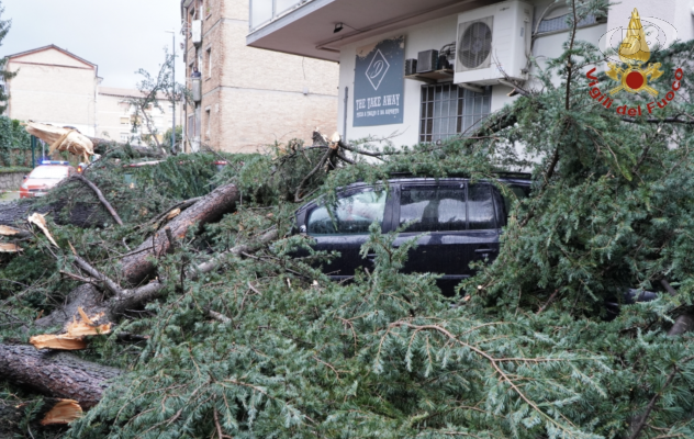 Alberi e rami caduti, disagi ovunque: tragedia sfiorata ad Avellino