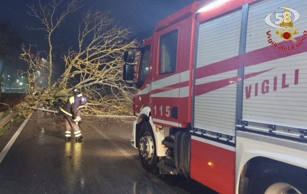 Maltempo e frane, 30 interventi per i Vigili del Fuoco