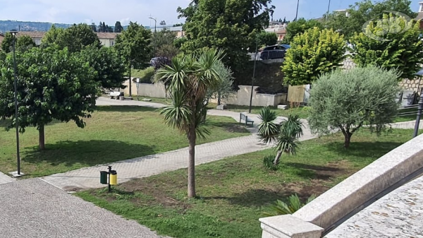 Grotta, dalla forestazione regionale arrivano 223 alberi