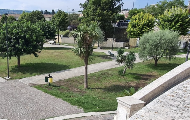 Grotta, dalla forestazione regionale arrivano 223 alberi