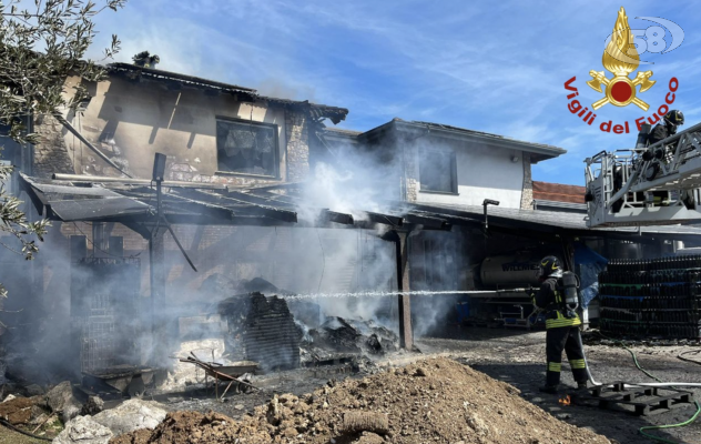 Azienda vinicola in fiamme, indagini in corso /VIDEO