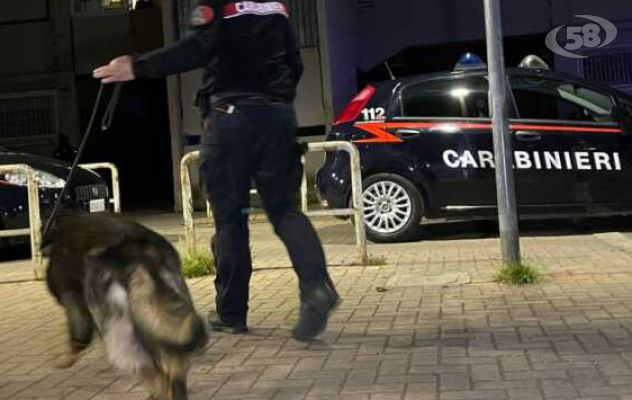 Trovati in possesso di cocaina, nei guai anche una ragazza di 23 anni