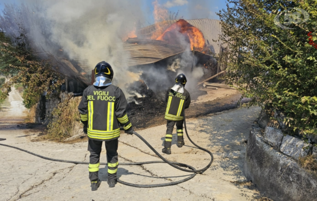 Ariano, a fuoco capannone di azienda agricola