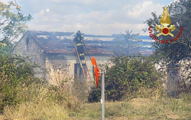 Vento forte e incendi: 60 interventi per i Vigili del Fuoco