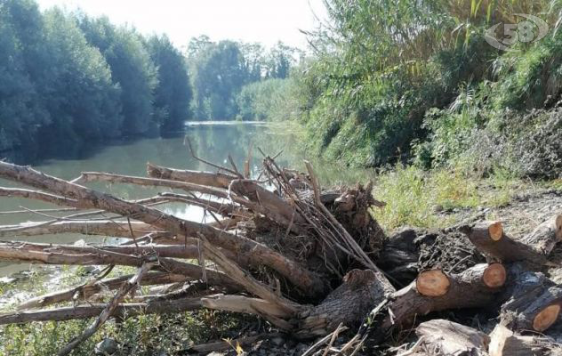 Parte la pulizia degli argini dei fiumi Calore e Sabato, fondi per oltre 2milioni di euro