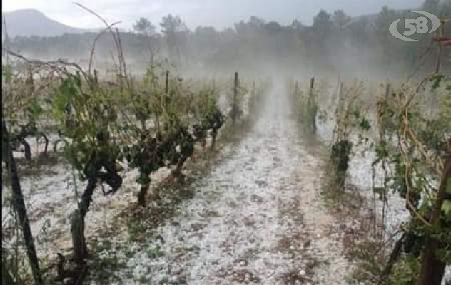 Danni all’agricoltura, Caputo incontra i sindaci sanniti. “Avviate tutte le procedure per la richiesta di ristori”