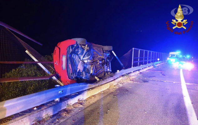 Incidente letale, 33enne sbanda con l'auto e vola giù dal viadotto