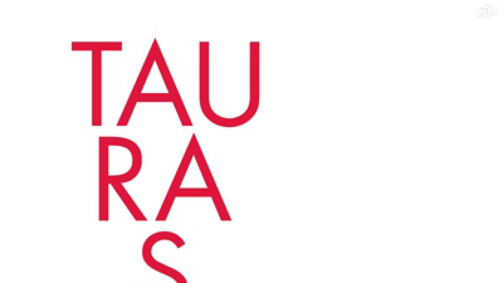 Taurasi vendemmia 2013