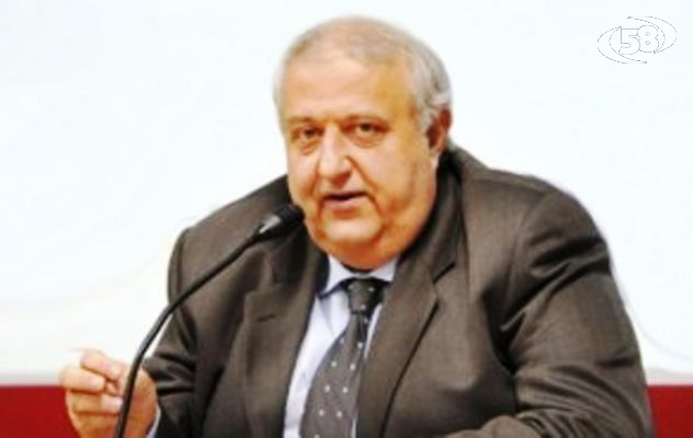 Danni da cinghiale, la Provincia chiede piano di prevenzione