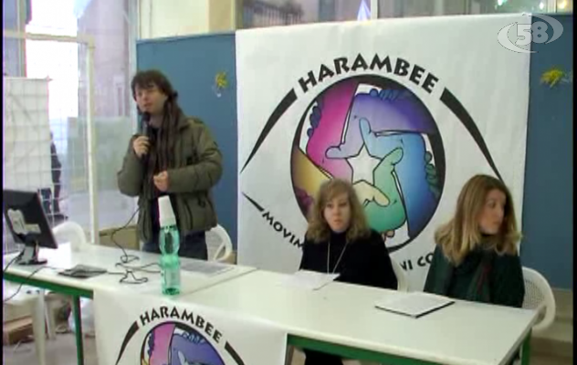 Ariano, asili nido: Harambee consegna le firme all'assessore Franciosa/Video/Interviste