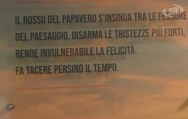 Oncologia, paziente con un solo polmone operato al San Pio. Annecchiarico: "Intervento riuscito/VIDEO