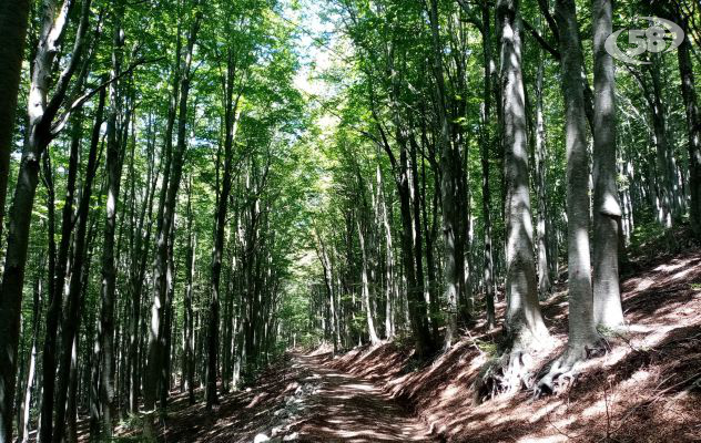 Finanziato il progetto AFAI: 10 milioni in Alta Irpinia