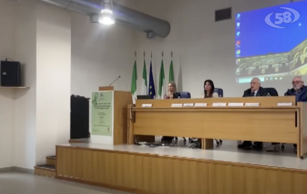 Ferrante: “Tra i primi ad avere avviato le tele-visite nelle carceri"