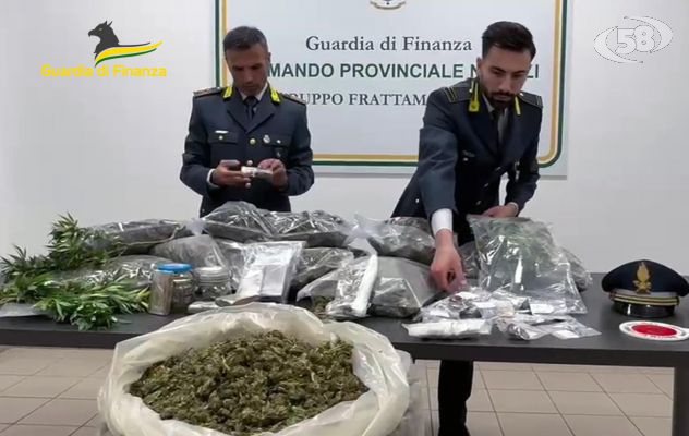 Sequestrata una piantagione di canapa indiana e oltre 50 chili di droga già essiccata/VIDEO