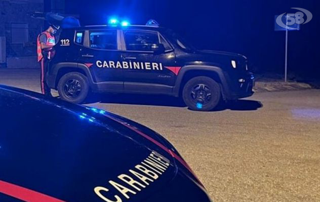 Sorpresi a rubare all’interno di un castagneto