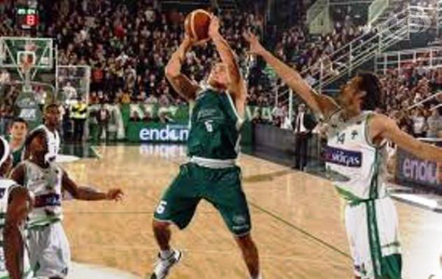 Basket, la Scandone ufficializza le date del campionato: a fine agosto il ritiro di Folgaria