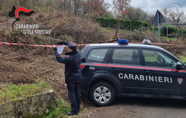 Distruzione e deturpamento di bellezze naturali: i Carabinieri denunciano la proprietaria del terreno