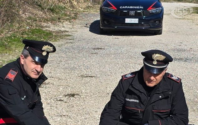 I Carabinieri soccorrono un cagnolino ferito sulla strada 