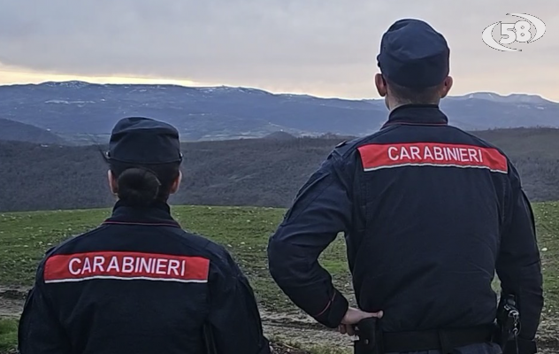 I carabinieri soccorrono due capre abbandonate