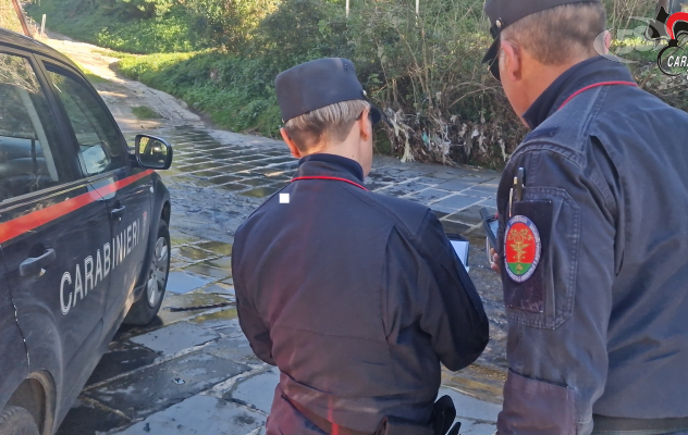 Autodemolitori, Carabinieri denunciano titolare di un opificio